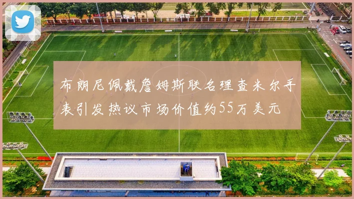 布朗尼佩戴詹姆斯联名理查米尔手表引发热议市场价值约55万美元
