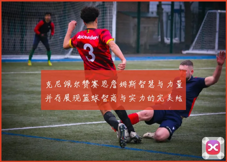 克尼佩尔赞赛恩詹姆斯智慧与力量并存展现篮球智商与实力的完美结合
