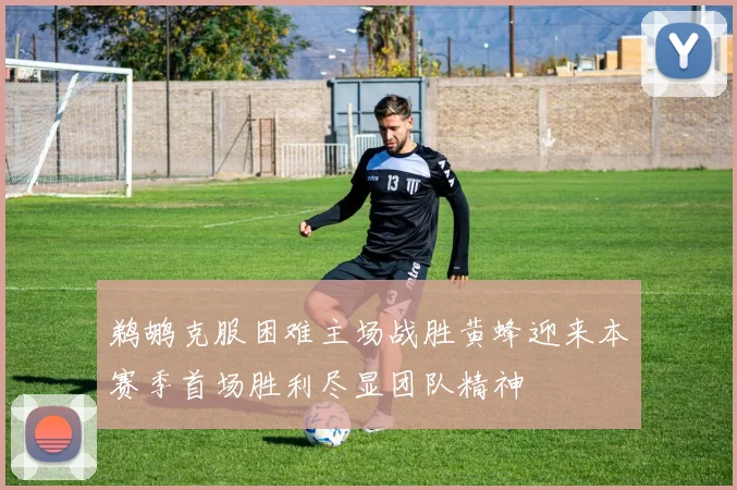 鹈鹕克服困难主场战胜黄蜂迎来本赛季首场胜利尽显团队精神