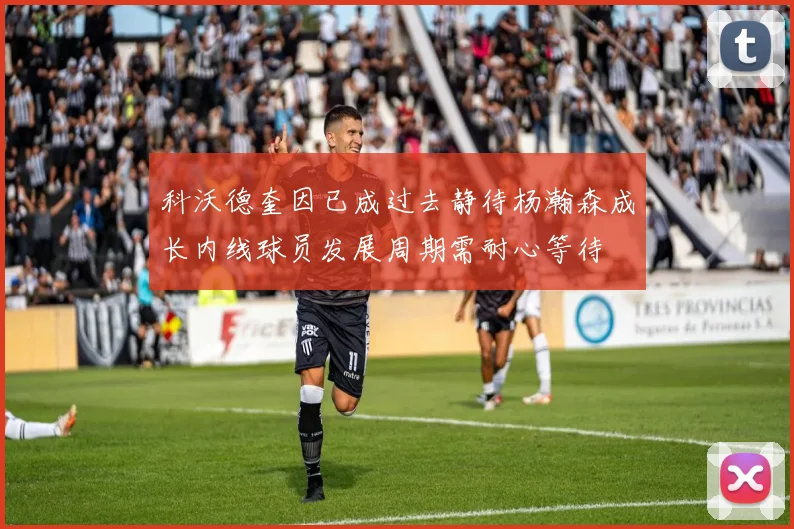 科沃德奎因已成过去静待杨瀚森成长内线球员发展周期需耐心等待