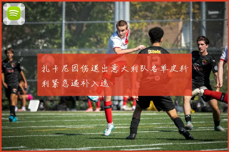 扎卡尼因伤退出意大利队名单皮科利紧急递补入选