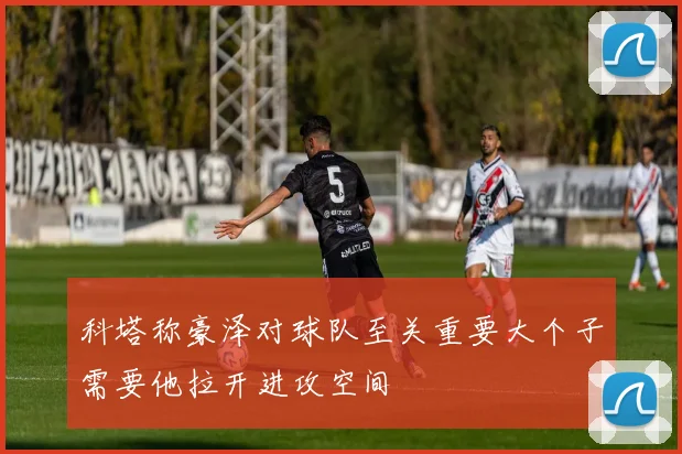 科塔称豪泽对球队至关重要大个子需要他拉开进攻空间