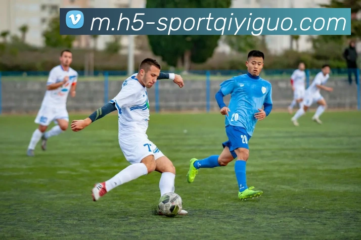 多媒体互动体验